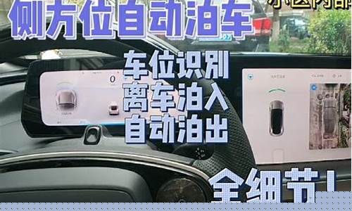 有自动泊车功能的汽车(有自动泊车的车吗)_https://www.syklpowerbike.com_北交所_第1张