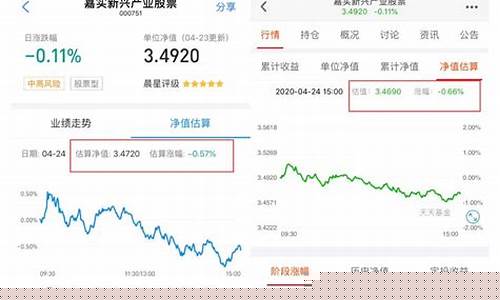 基金估值实时查询(基金估值实时查询小程序)_https://www.syklpowerbike.com_创业板_第1张