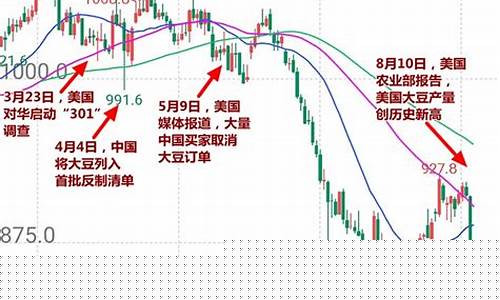 大豆期货杠杆(大豆期货杠杆计算公式)_https://www.syklpowerbike.com_科创板_第1张