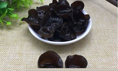 木耳销售怎么找渠道(木耳进货渠道)_https://www.syklpowerbike.com_创业板_第1张