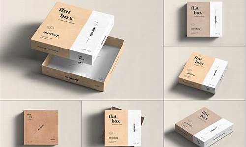 产品包装设计模板范文(产品包装设计模板范文大全)_https://www.syklpowerbike.com_深交所_第1张