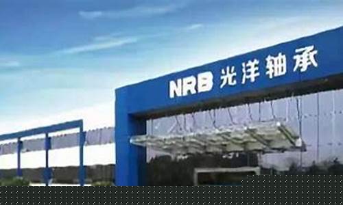 光洋股份业绩(光洋股份业绩怎么样)_https://www.syklpowerbike.com_上交所_第1张