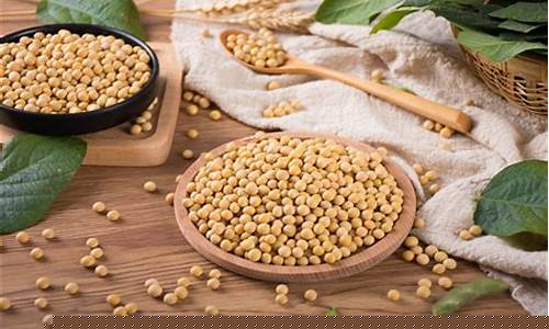 大豆期货直播回放(大豆期货直播回放在哪看)_https://www.syklpowerbike.com_北交所_第1张