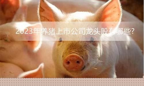 养猪企业上市公司排名(养猪业上市公司有几家)_https://www.syklpowerbike.com_深交所_第1张