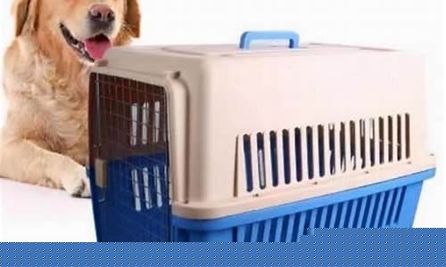 哪个物流可以寄宠物(宠物托运平台哪个便宜)_https://www.syklpowerbike.com_科创板_第1张