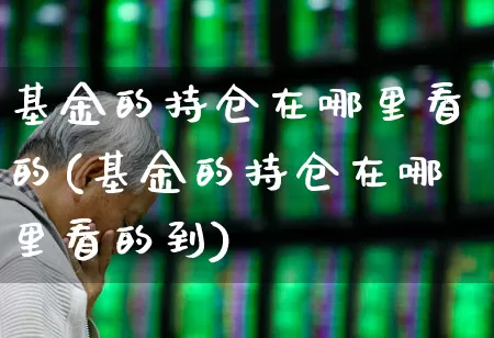 基金的持仓在哪里看的(基金的持仓在哪里看的到)_https://www.syklpowerbike.com_北交所_第1张