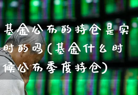 基金公布的持仓是实时的吗(基金什么时候公布季度持仓)_https://www.syklpowerbike.com_科创板_第1张