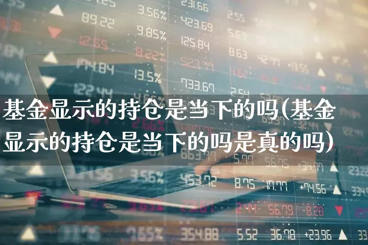 基金显示的持仓是当下的吗(基金显示的持仓是当下的吗是真的吗)_https://www.syklpowerbike.com_创业板_第1张