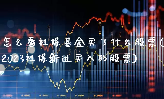 怎么看社保基金买了什么股票(2023社保新进买入的股票)_https://www.syklpowerbike.com_创业板_第1张