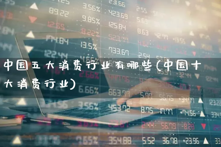 中国五大消费行业有哪些(中国十大消费行业)_https://www.syklpowerbike.com_创业板_第1张