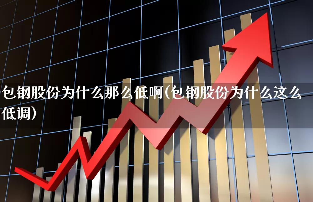 包钢股份为什么那么低啊(包钢股份为什么这么低调)_https://www.syklpowerbike.com_北交所_第1张