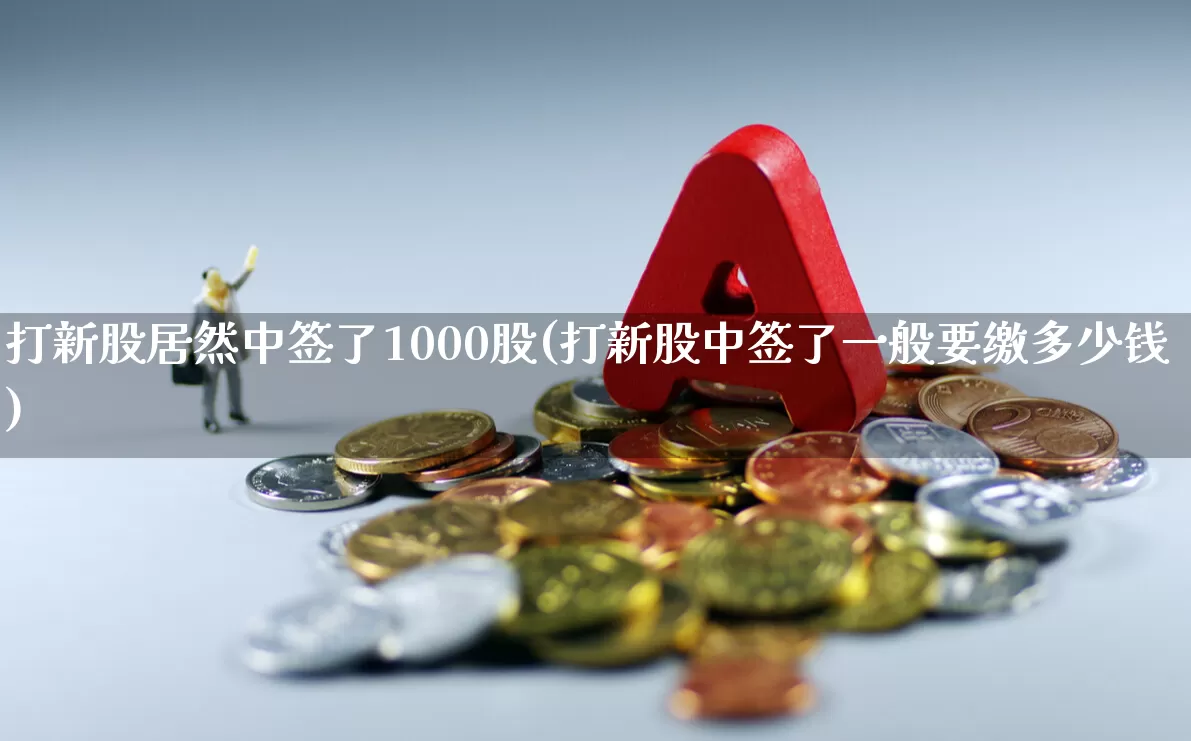 打新股居然中签了1000股(打新股中签了一般要缴多少钱)_https://www.syklpowerbike.com_北交所_第1张