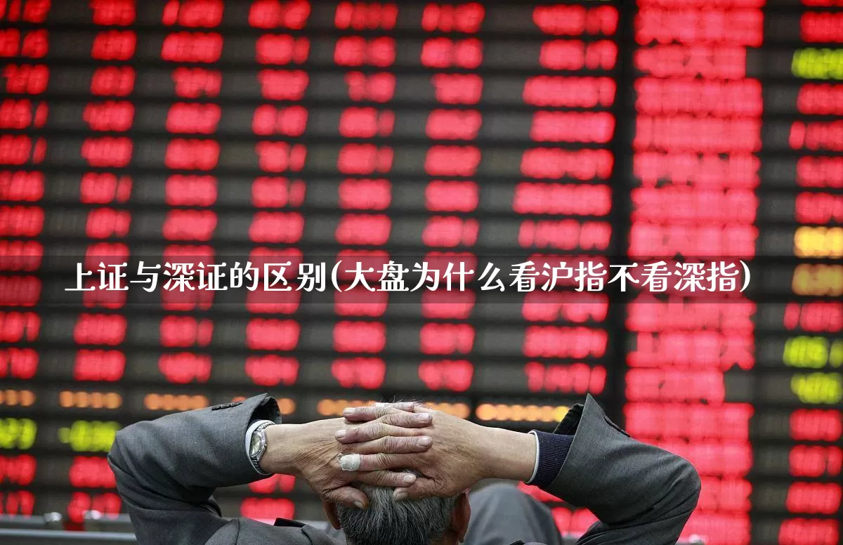 上证与深证的区别(大盘为什么看沪指不看深指)_https://www.syklpowerbike.com_上交所_第1张