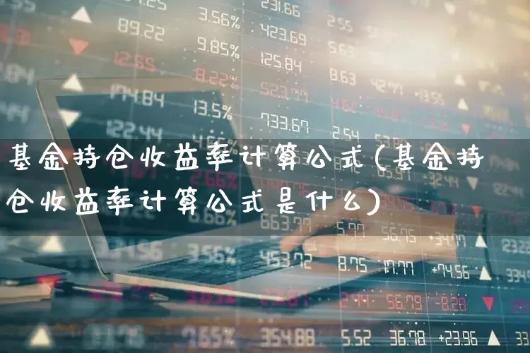 基金持仓收益率计算公式(基金持仓收益率计算公式是什么)_https://www.syklpowerbike.com_北交所_第1张