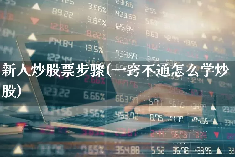 新人炒股票步骤(一窍不通怎么学炒股)_https://www.syklpowerbike.com_北交所_第1张