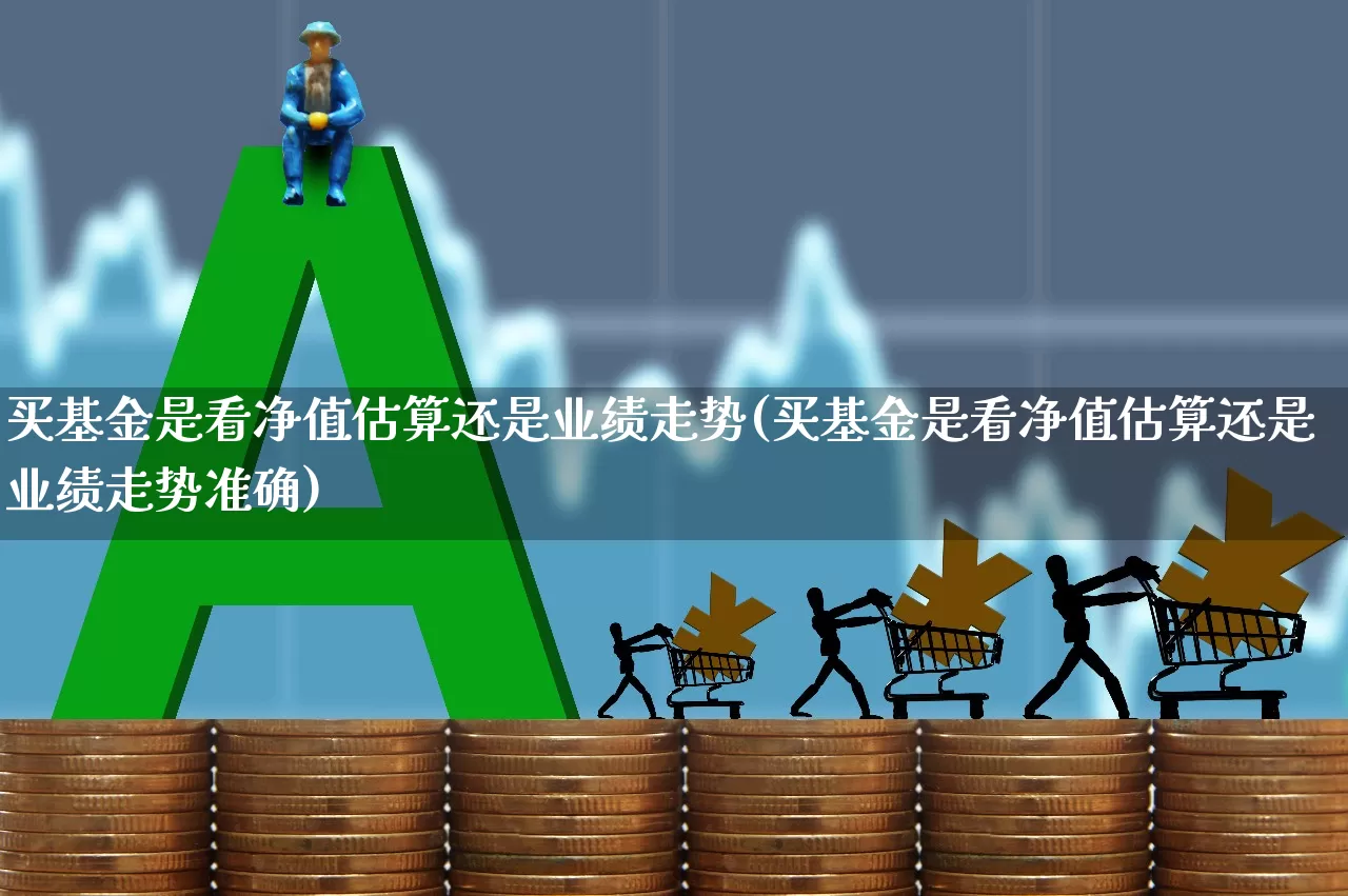 买基金是看净值估算还是业绩走势(买基金是看净值估算还是业绩走势准确)_https://www.syklpowerbike.com_科创板_第1张
