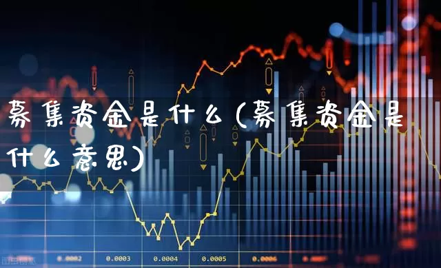 募集资金是什么(募集资金是什么意思)_https://www.syklpowerbike.com_上交所_第1张
