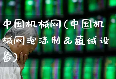 中国机械网(中国机械网泡沫制品植绒设备)_https://www.syklpowerbike.com_创业板_第1张