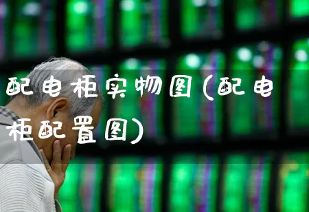 配电柜实物图(配电柜配置图)_https://www.syklpowerbike.com_深交所_第1张