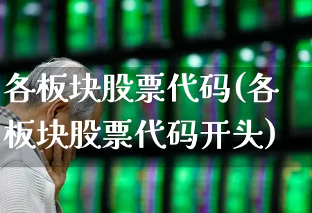 各板块股票代码(各板块股票代码开头)_https://www.syklpowerbike.com_创业板_第1张