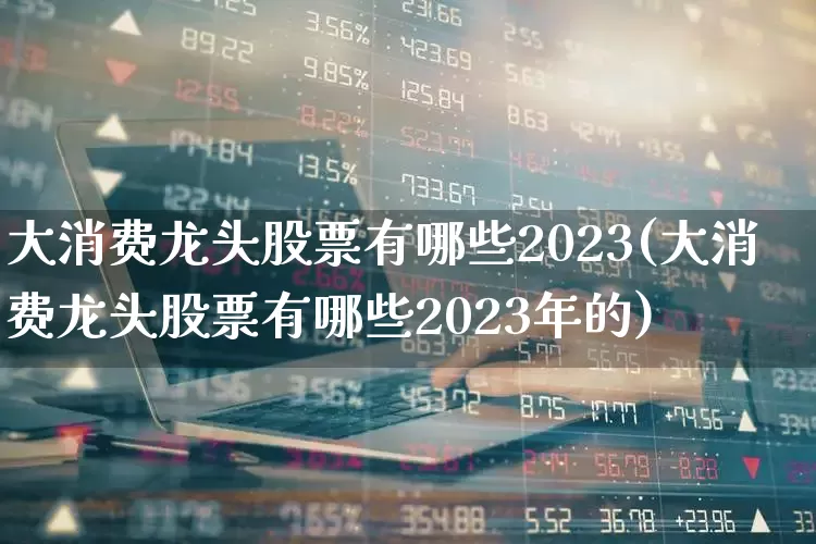 大消费龙头股票有哪些2023(大消费龙头股票有哪些2023年的)_https://www.syklpowerbike.com_深交所_第1张