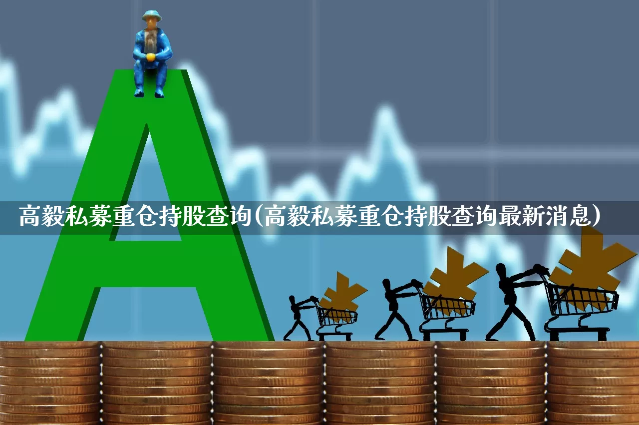 高毅私募重仓持股查询(高毅私募重仓持股查询最新消息)_https://www.syklpowerbike.com_北交所_第1张