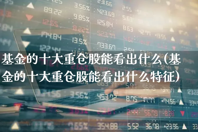 基金的十大重仓股能看出什么(基金的十大重仓股能看出什么特征)_https://www.syklpowerbike.com_深交所_第1张