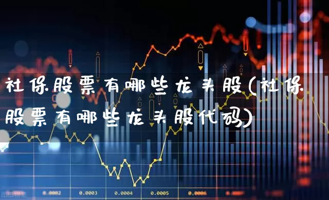 社保股票有哪些龙头股(社保股票有哪些龙头股代码)_https://www.syklpowerbike.com_北交所_第1张