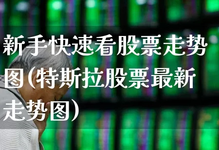 新手快速看股票走势图(特斯拉股票最新走势图)_https://www.syklpowerbike.com_上交所_第1张