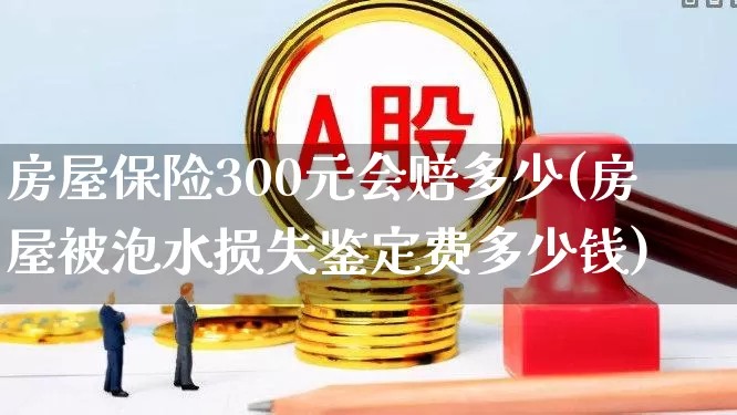 房屋保险300元会赔多少(房屋被泡水损失鉴定费多少钱)_https://www.syklpowerbike.com_北交所_第1张