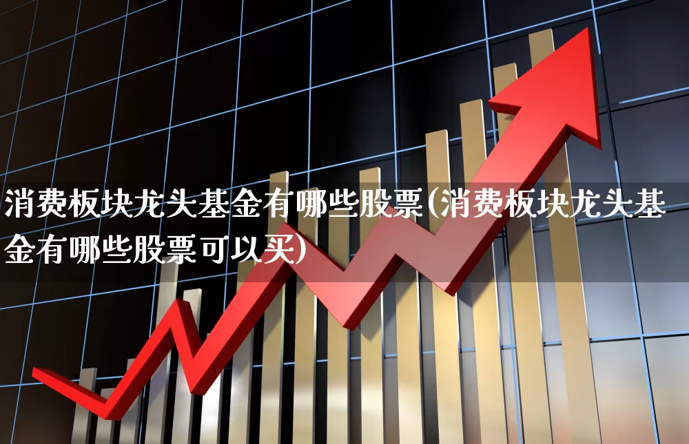 消费板块龙头基金有哪些股票(消费板块龙头基金有哪些股票可以买)_https://www.syklpowerbike.com_创业板_第1张