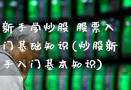 新手学炒股 股票入门基础知识(炒股新手入门基本知识)_https://www.syklpowerbike.com_上交所_第1张