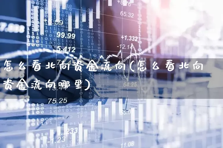 怎么看北向资金流向(怎么看北向资金流向哪里)_https://www.syklpowerbike.com_北交所_第1张