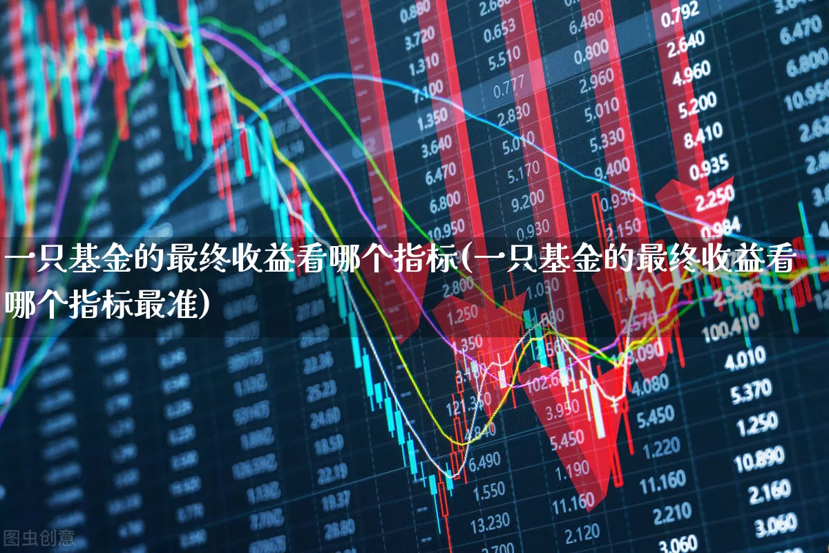 一只基金的最终收益看哪个指标(一只基金的最终收益看哪个指标最准)_https://www.syklpowerbike.com_创业板_第1张