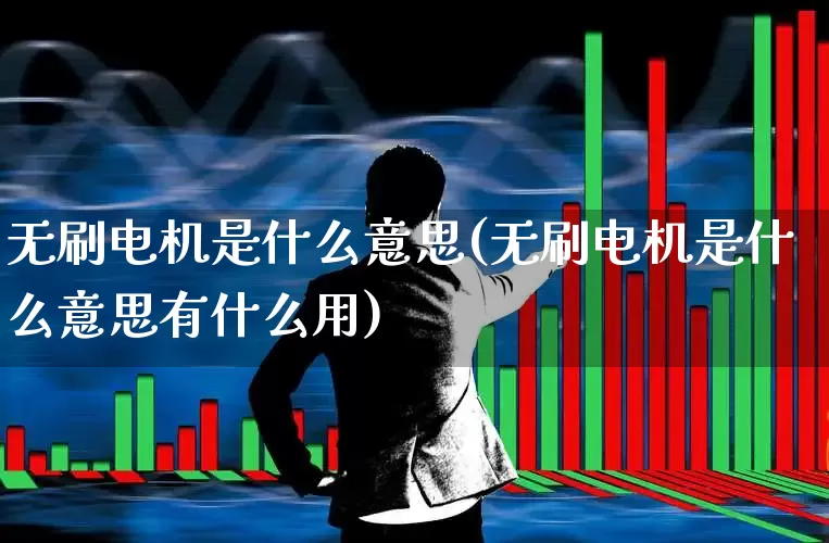 无刷电机是什么意思(无刷电机是什么意思有什么用)_https://www.syklpowerbike.com_深交所_第1张