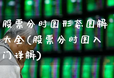 股票分时图形态图解大全(股票分时图入门详解)_https://www.syklpowerbike.com_创业板_第1张