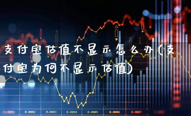 支付宝估值不显示怎么办(支付宝为何不显示估值)_https://www.syklpowerbike.com_创业板_第1张