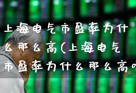 上海电气市盈率为什么那么高(上海电气市盈率为什么那么高呢)_https://www.syklpowerbike.com_北交所_第1张