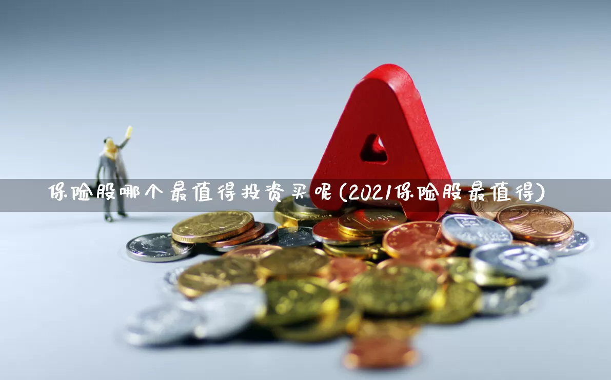 保险股哪个最值得投资买呢(2021保险股最值得)_https://www.syklpowerbike.com_北交所_第1张
