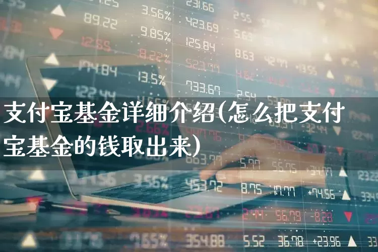 支付宝基金详细介绍(怎么把支付宝基金的钱取出来)_https://www.syklpowerbike.com_北交所_第1张
