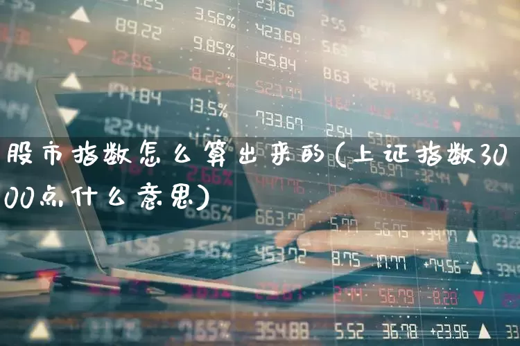 股市指数怎么算出来的(上证指数3000点什么意思)_https://www.syklpowerbike.com_北交所_第1张