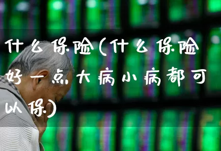 什么保险(什么保险好一点大病小病都可以保)_https://www.syklpowerbike.com_北交所_第1张