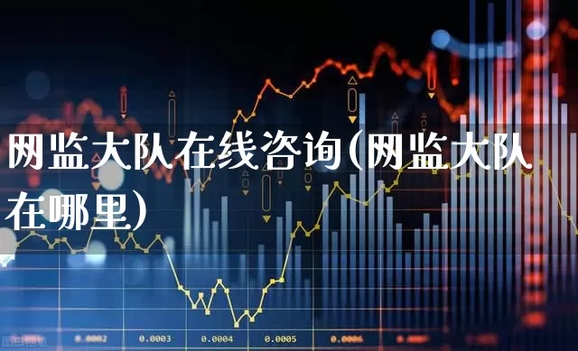 网监大队在线咨询(网监大队在哪里)_https://www.syklpowerbike.com_深交所_第1张