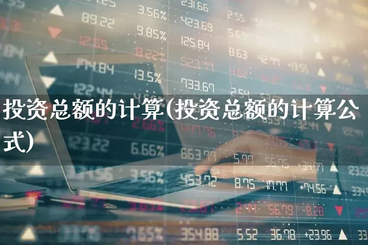 投资总额的计算(投资总额的计算公式)_https://www.syklpowerbike.com_深交所_第1张