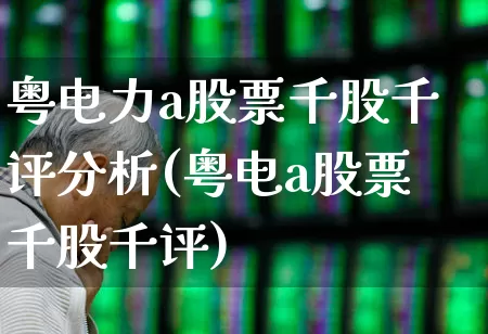 粤电力a股票千股千评分析(粤电a股票千股千评)_https://www.syklpowerbike.com_创业板_第1张