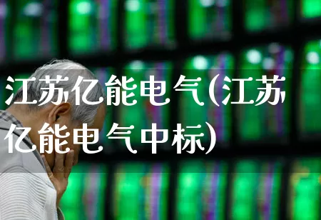 江苏亿能电气(江苏亿能电气中标)_https://www.syklpowerbike.com_北交所_第1张