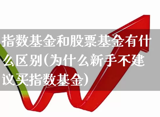 指数基金和股票基金有什么区别(为什么新手不建议买指数基金)_https://www.syklpowerbike.com_北交所_第1张