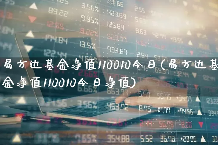 易方达基金净值110010今日(易方达基金净值110010今日净值)_https://www.syklpowerbike.com_科创板_第1张