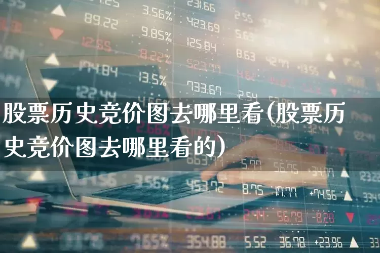 股票历史竞价图去哪里看(股票历史竞价图去哪里看的)_https://www.syklpowerbike.com_北交所_第1张