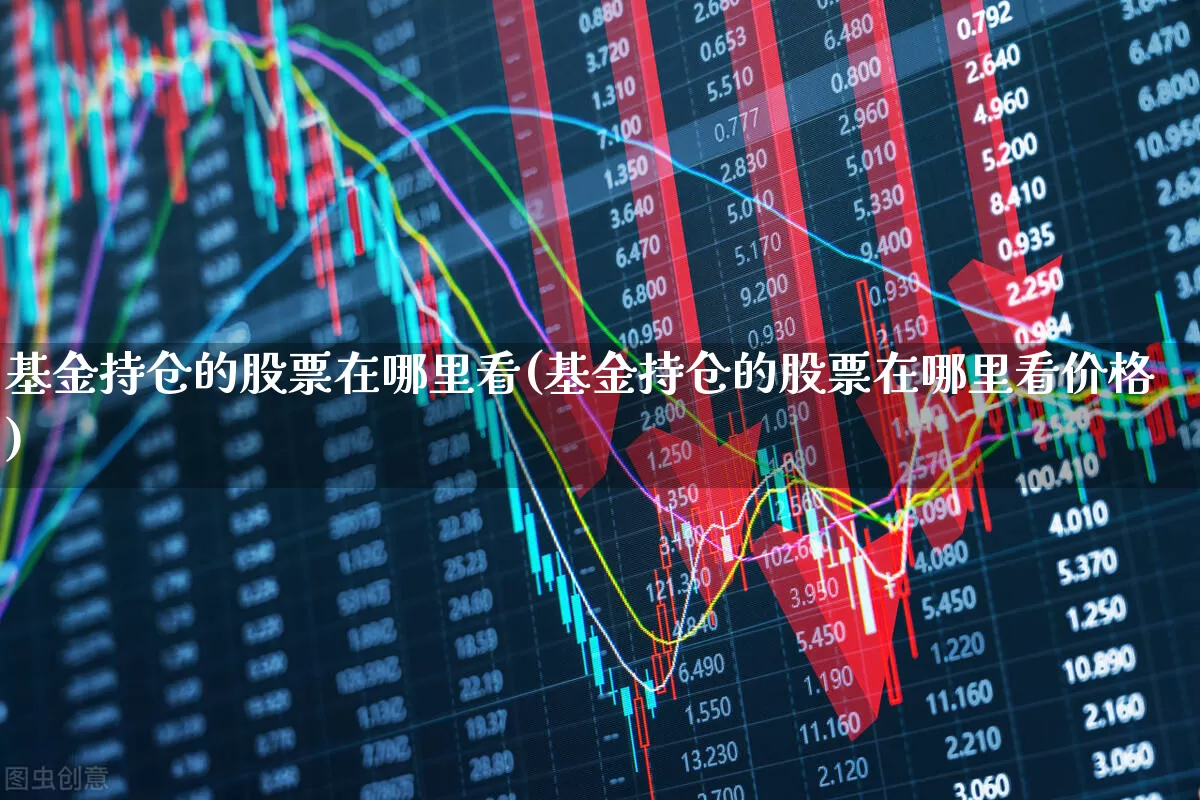基金持仓的股票在哪里看(基金持仓的股票在哪里看价格)_https://www.syklpowerbike.com_北交所_第1张